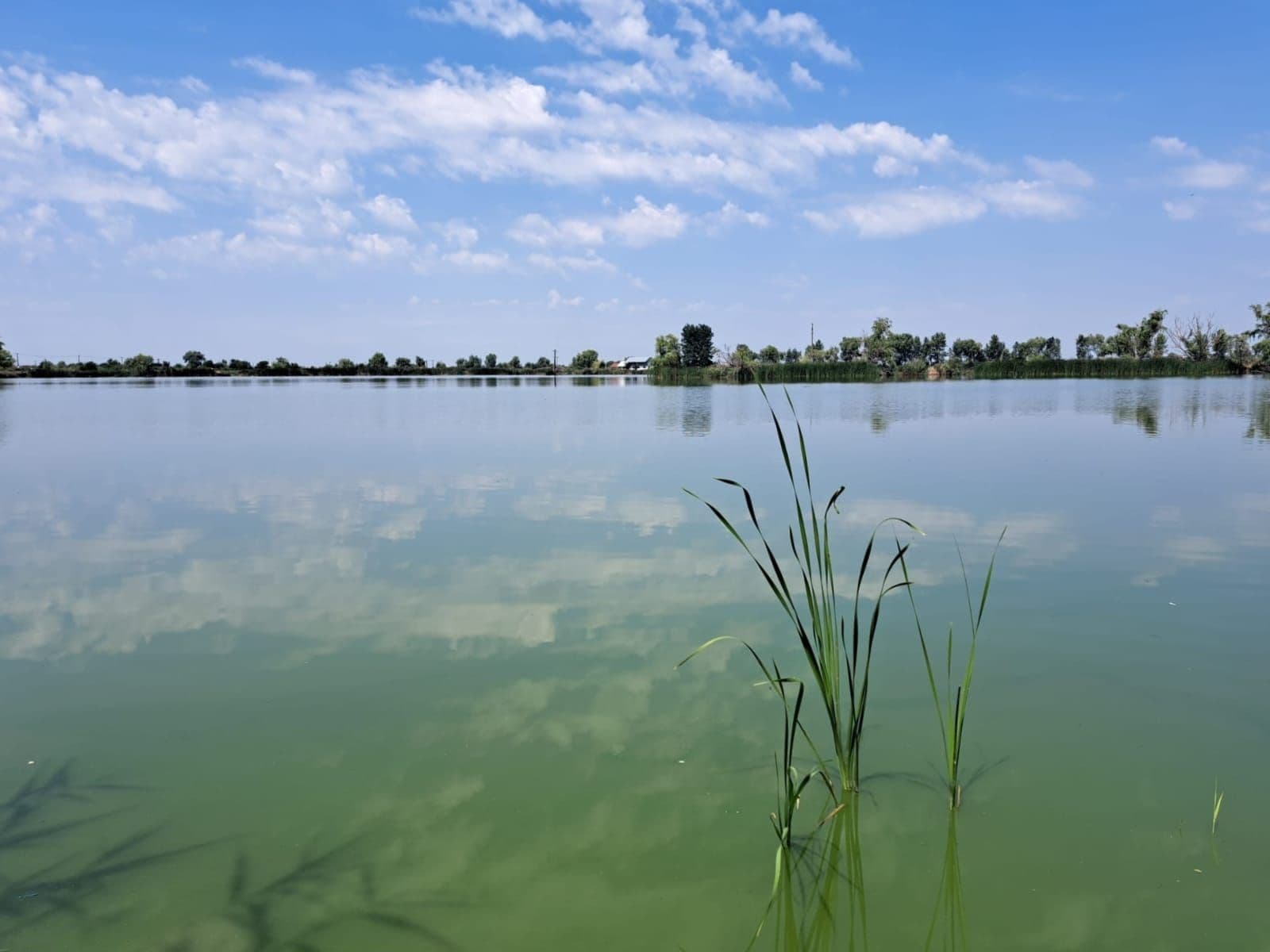 Panorama Lake, Satu Mare — fotografia 1