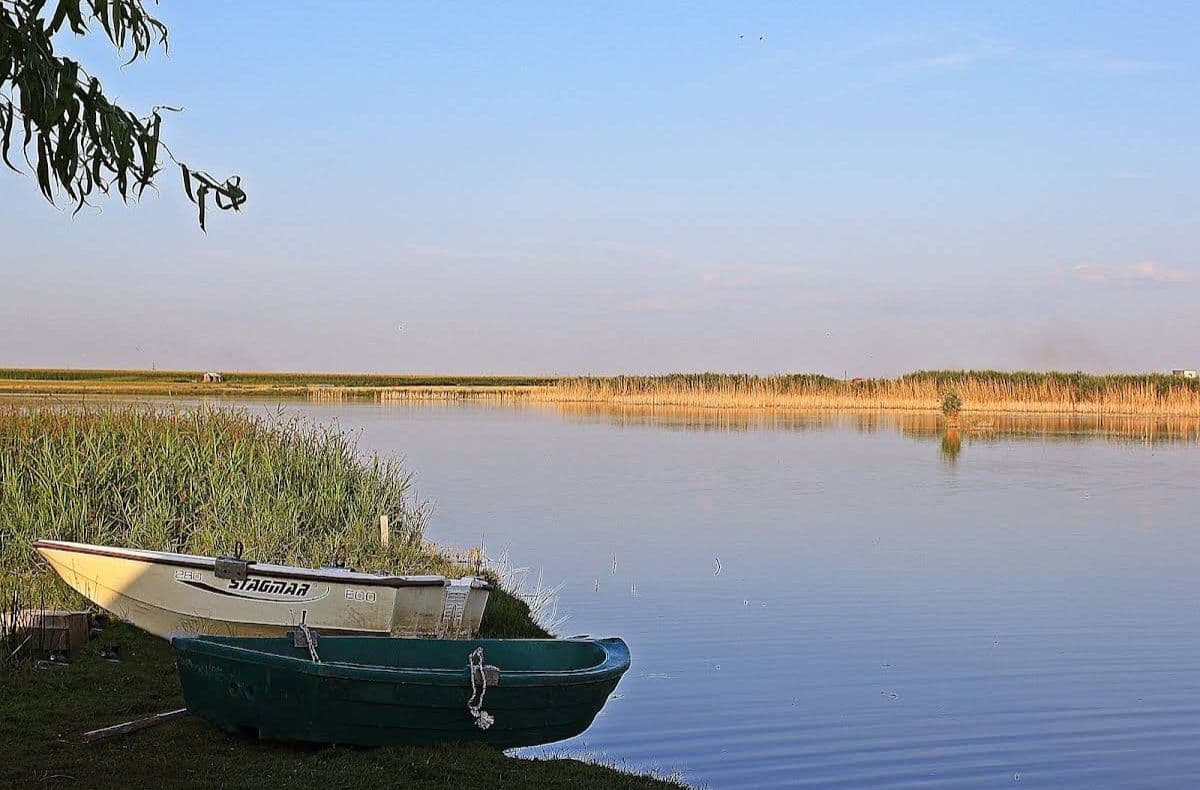 Nicula Carp Lake, Calarasi — fotografia 1