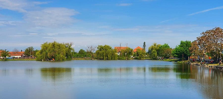 Balta BUCIUMAN, Timis — fotografia 4
