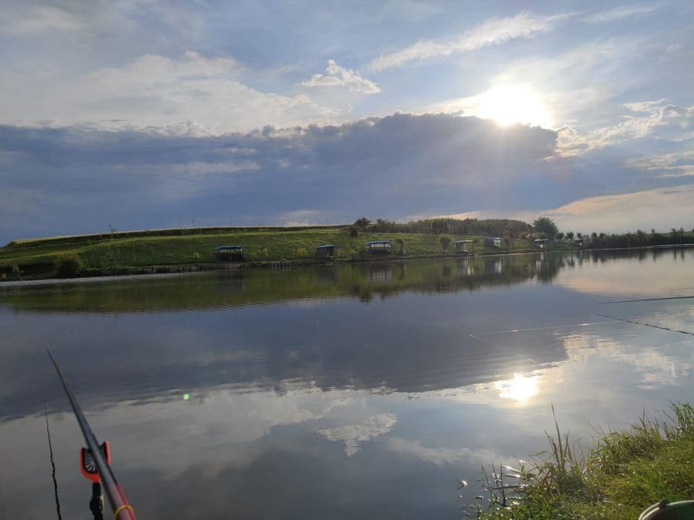 Balta Mică Cojești, Calarasi — fotografia 1