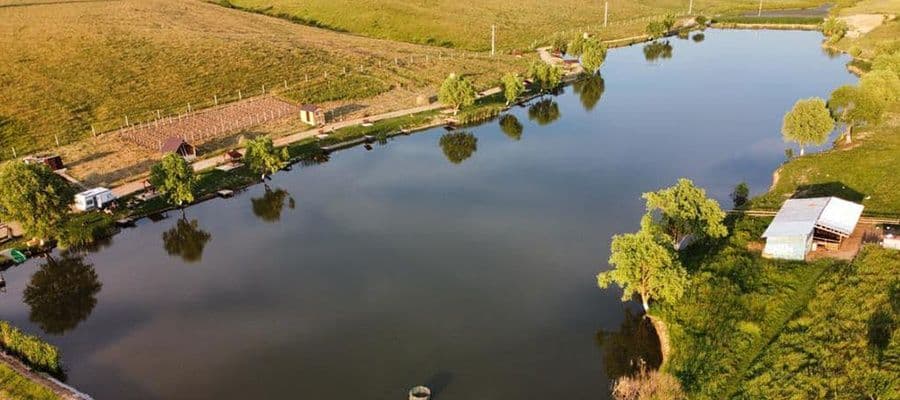 Balta SITITELEC, Bihor — fotografia 1