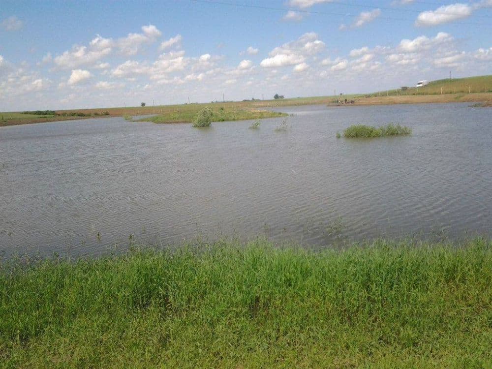 Dacia Lake Andrid, Satu Mare — fotografia 3