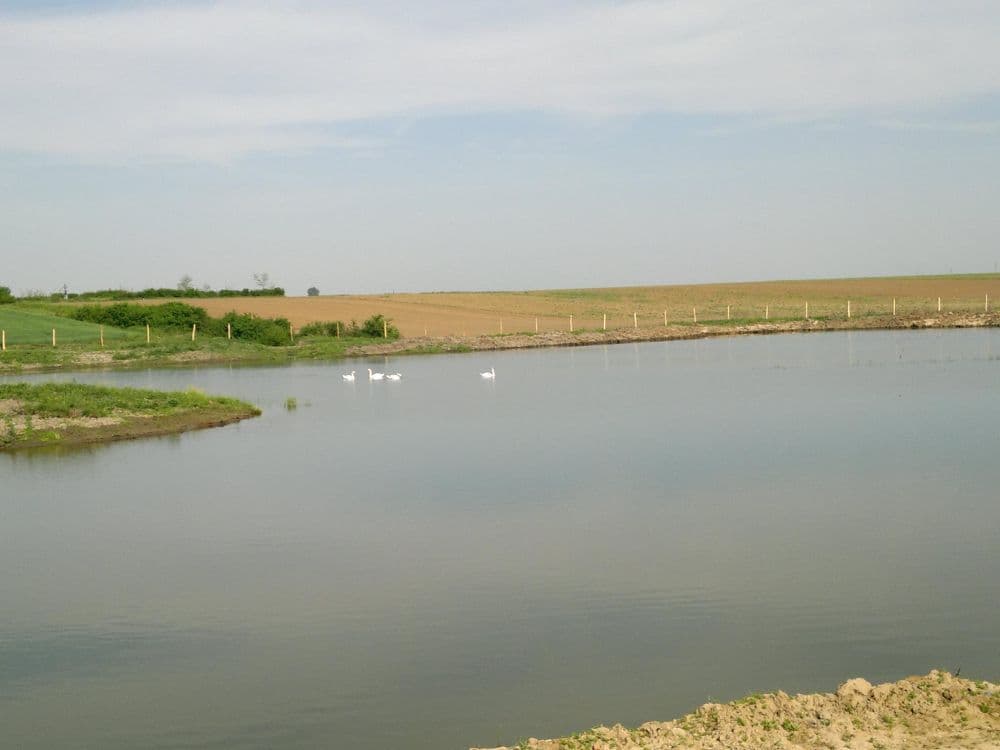 Dacia Lake Andrid, Satu Mare — fotografia 4