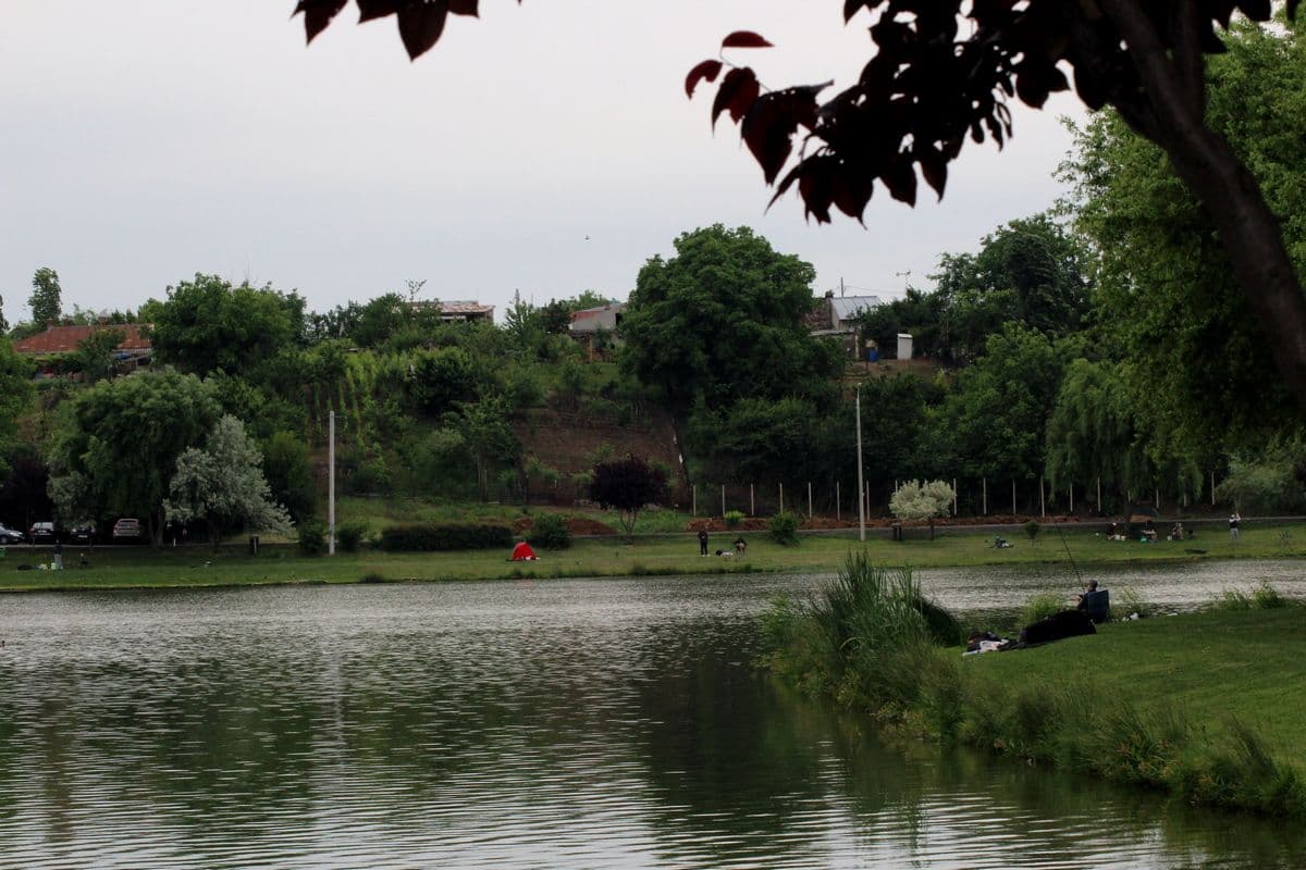 Floarea Popestiului, Ilfov — fotografia 1