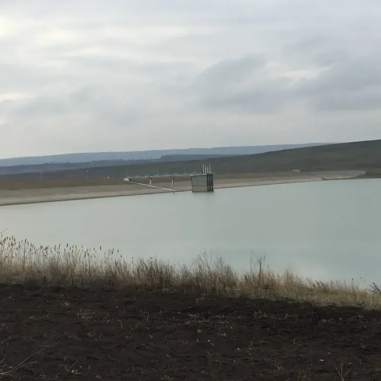 Lacul Tungujei, Iasi — fotografia 1