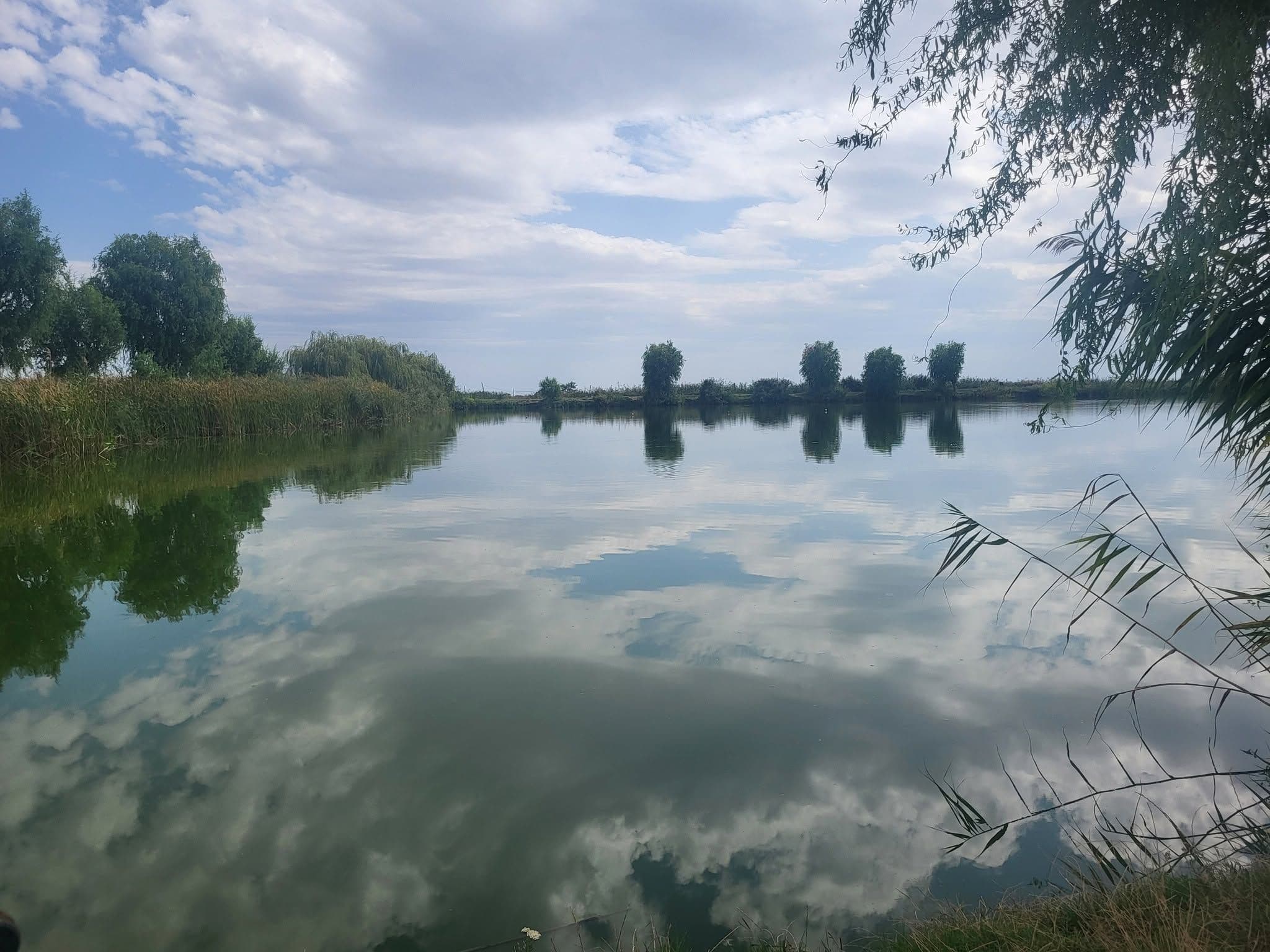 Balta Ady Beldea , Arad — fotografia 1