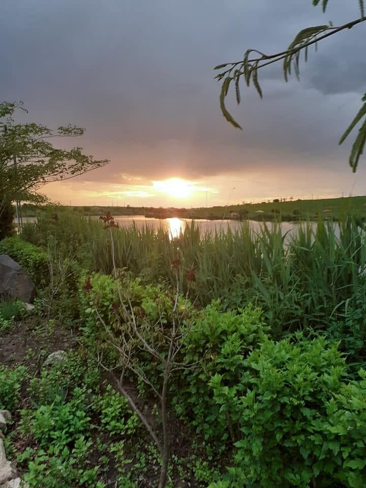 Balta Comoara Pescarilor - Balaria 1, Giurgiu — fotografia 1