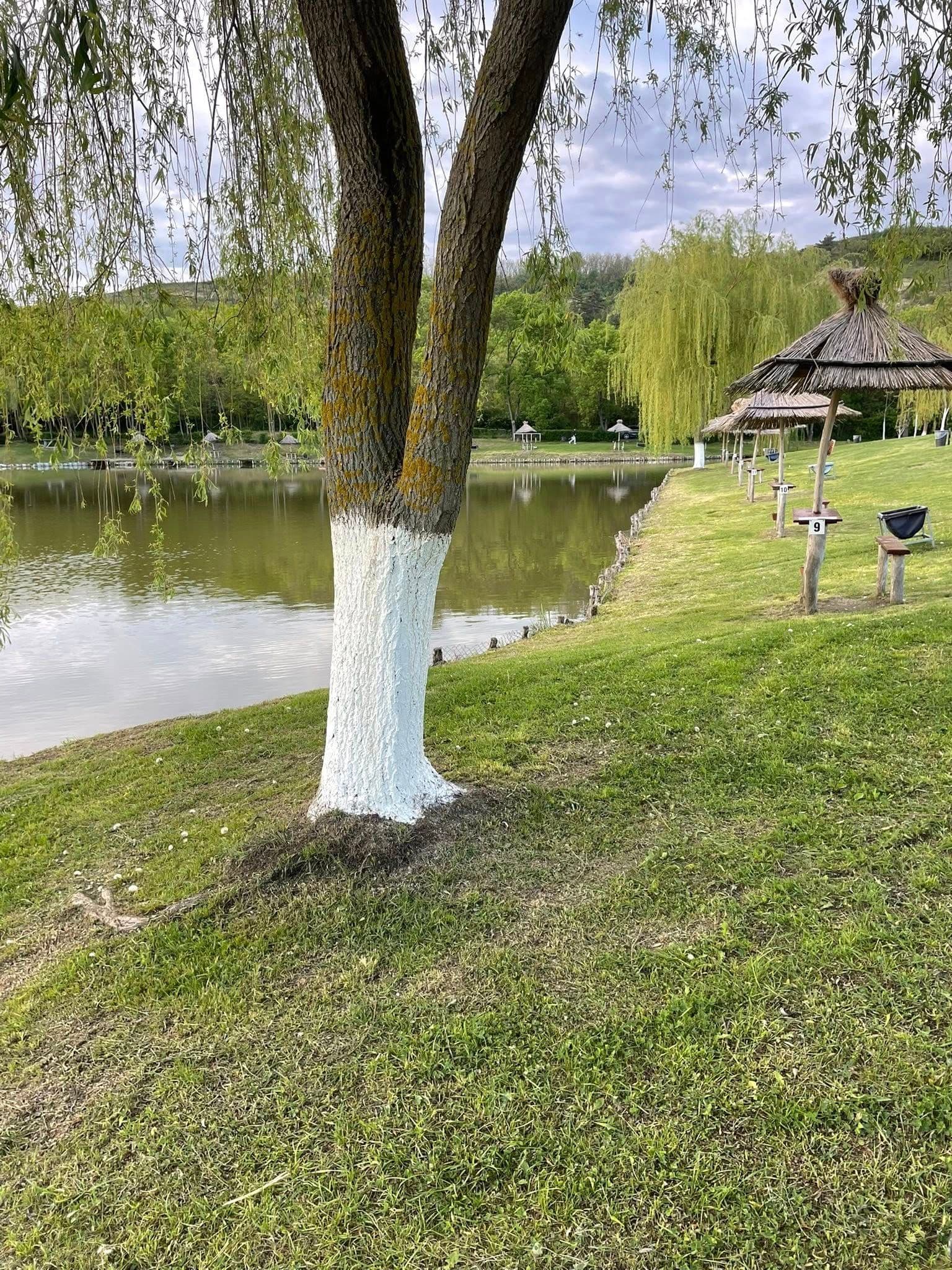Lac Barai, Cluj — fotografia 3