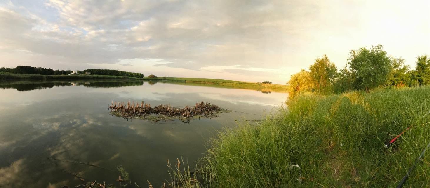 Balta Chiroiu 2, Ialomita — fotografia 1