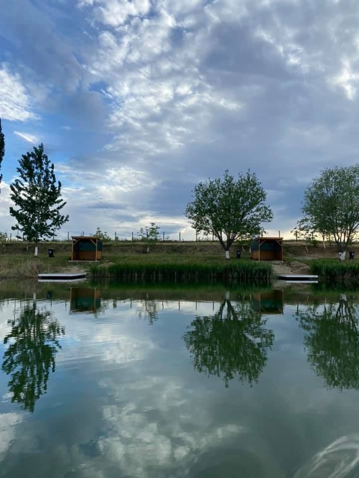 Lacul Nicmar Clinceni, Ilfov — fotografia 1