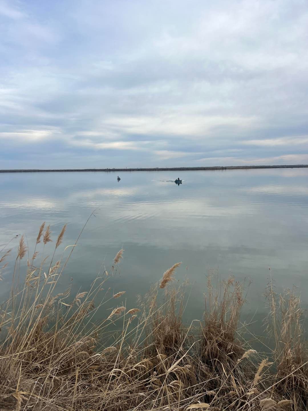 Balta Galatui, Calarasi — fotografia 1