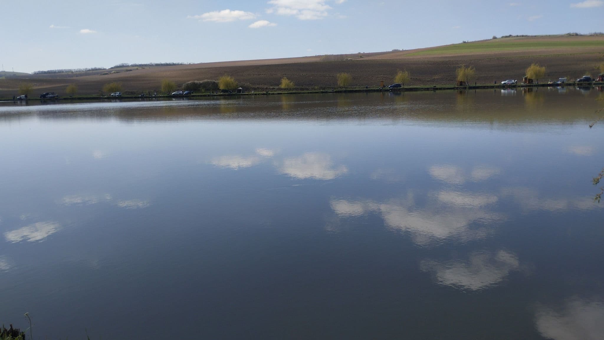 Carpodrom Transilvania, Mures — fotografia 1