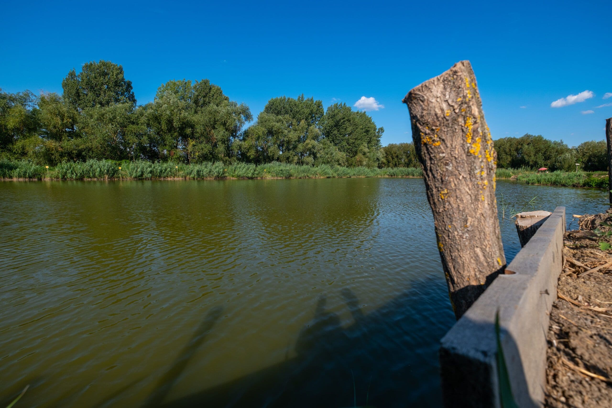Iaz Beresti, Bacau — fotografia 4