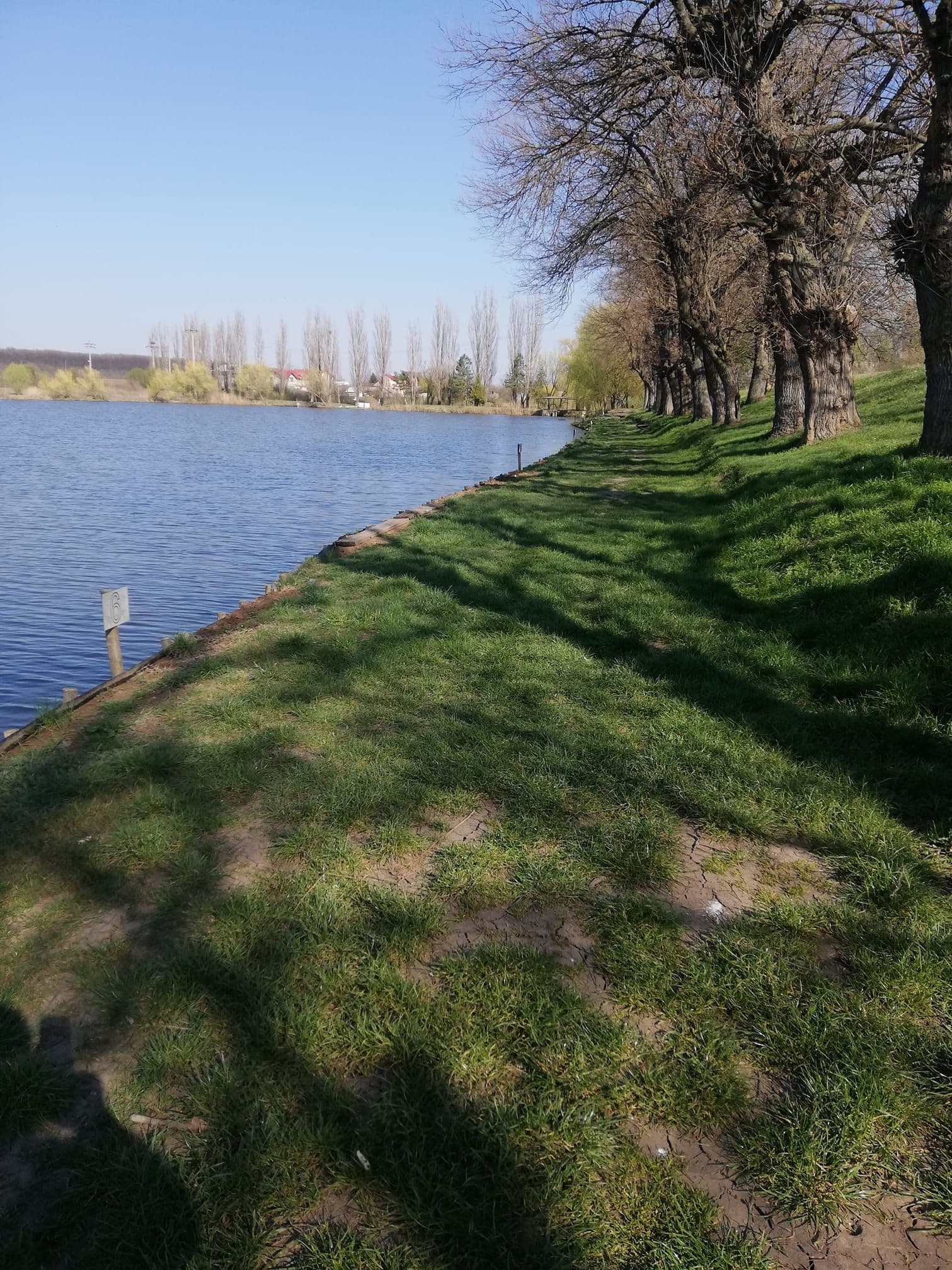 Creata 3, Ilfov — fotografia 3