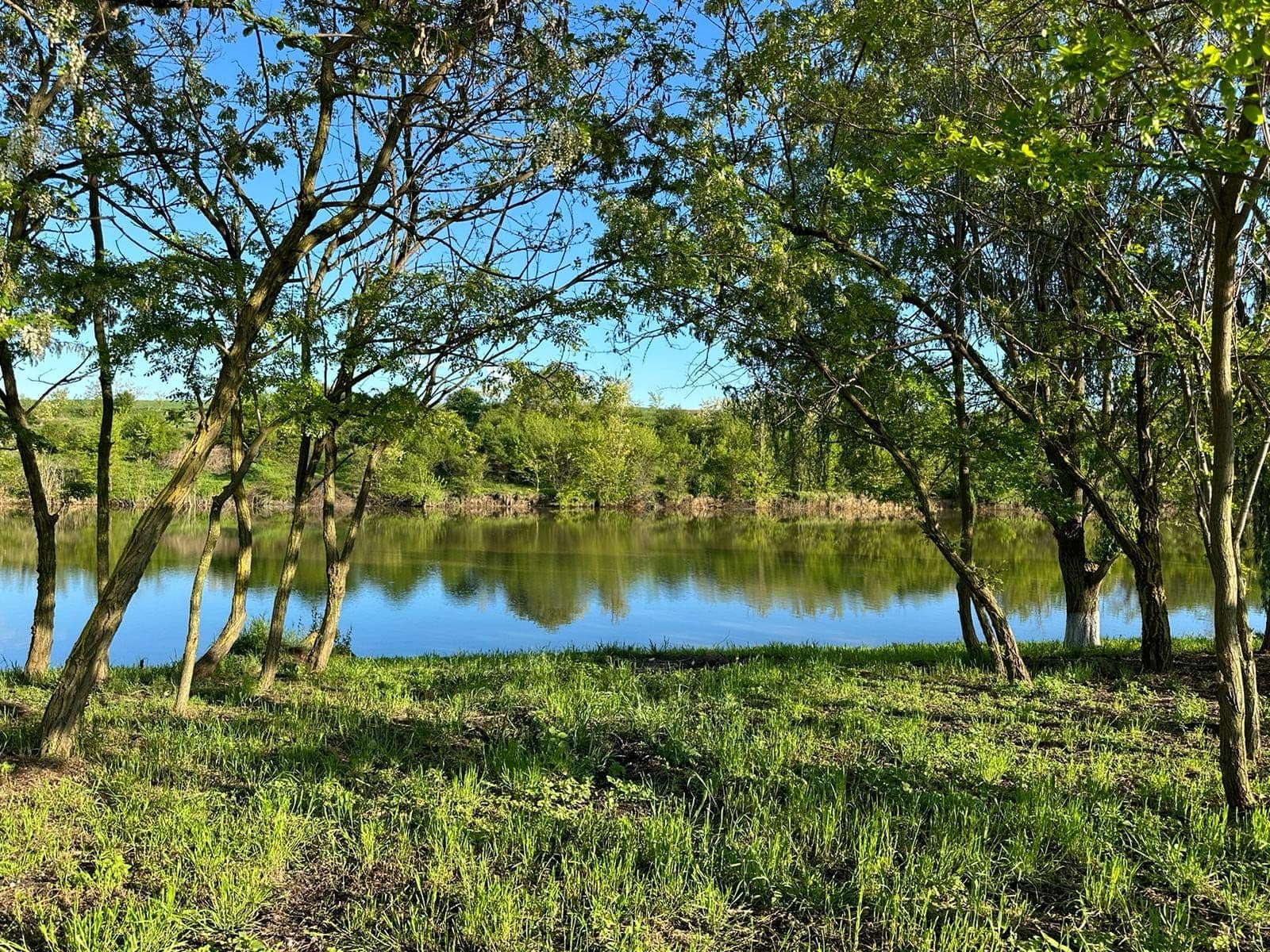 Balta Pavelescu 3, Calarasi — fotografia 1