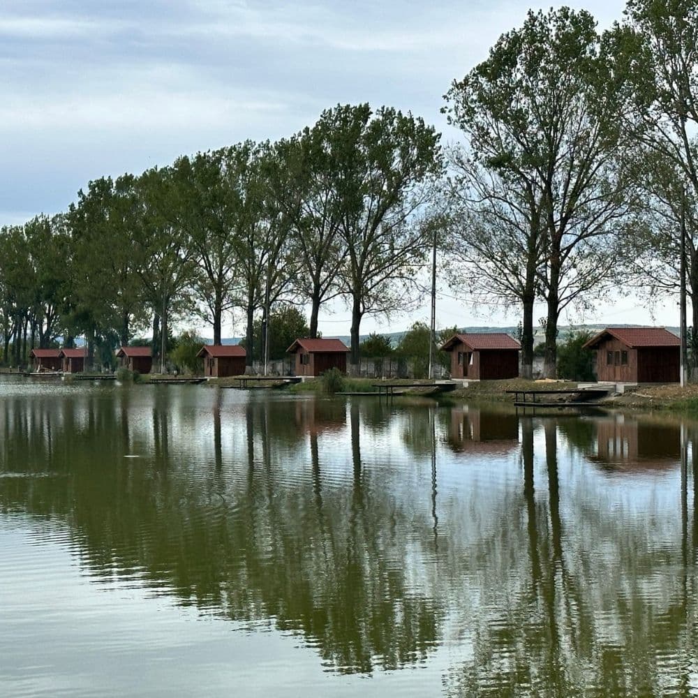 Lacul Pleasa, Prahova — fotografia 3