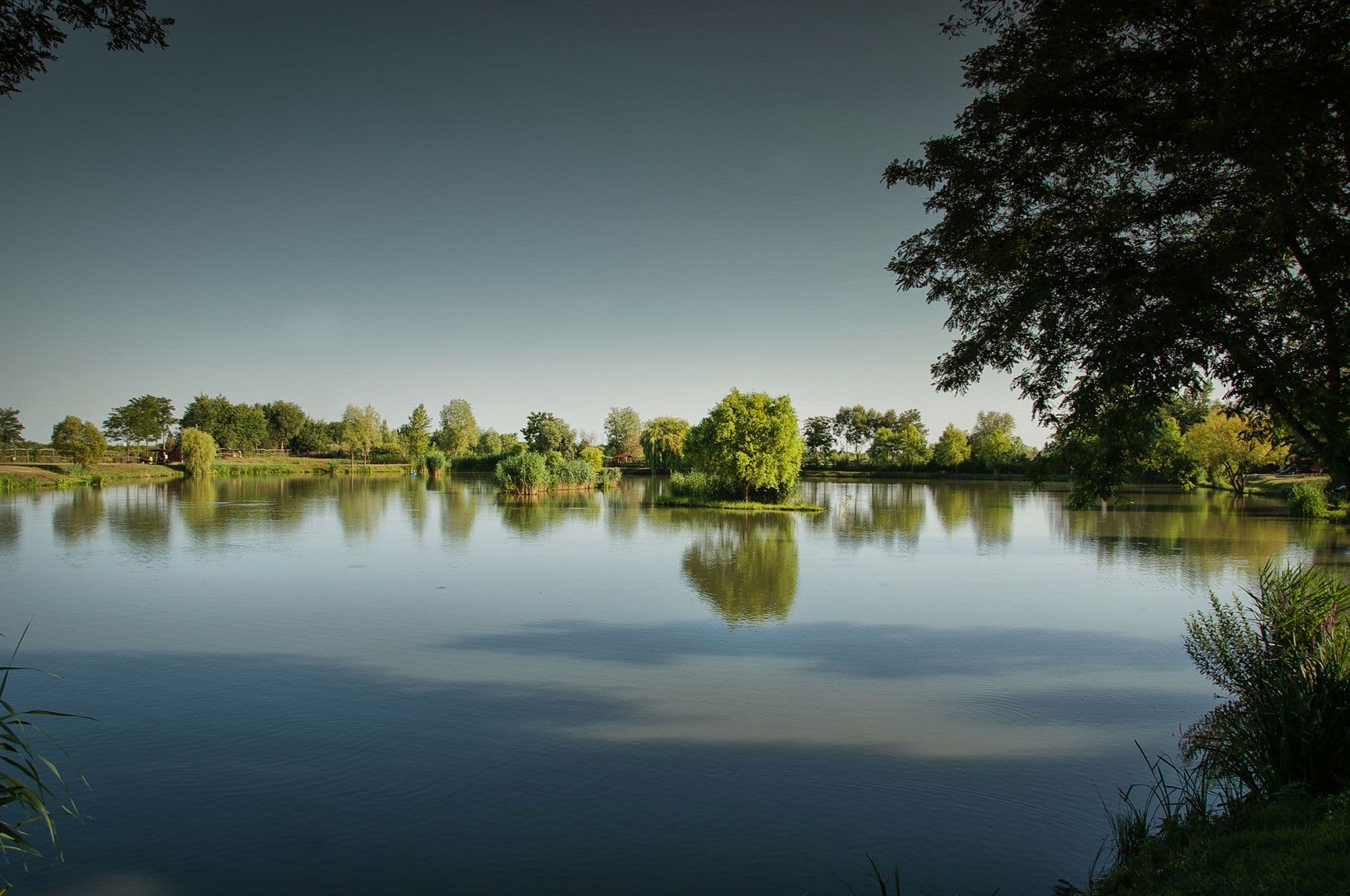 Lacul de Pescuit Turulung, Satu Mare — fotografia 1