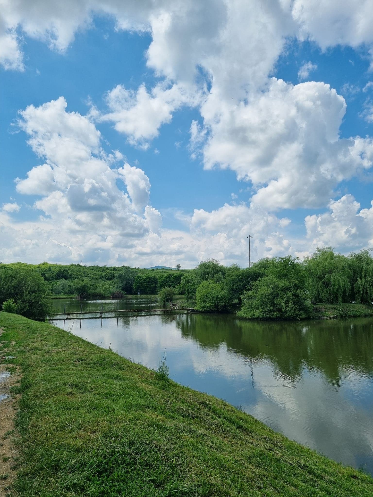 Lac Mariselu, Bistrita-Nasaud — fotografia 6