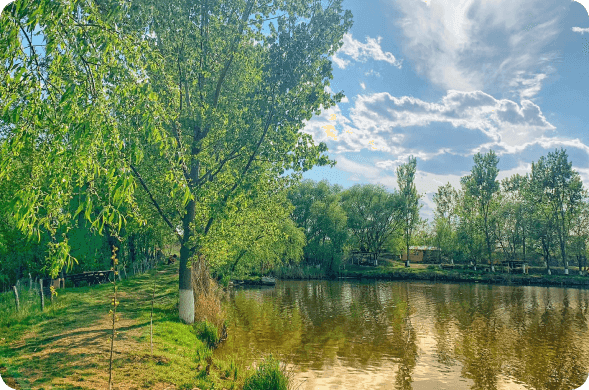 Balta Nana - Bazin Dreapta — fotografia 5
