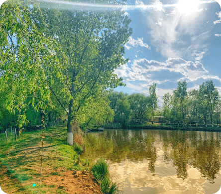 Balta Nana - Bazin Dreapta — fotografia 1