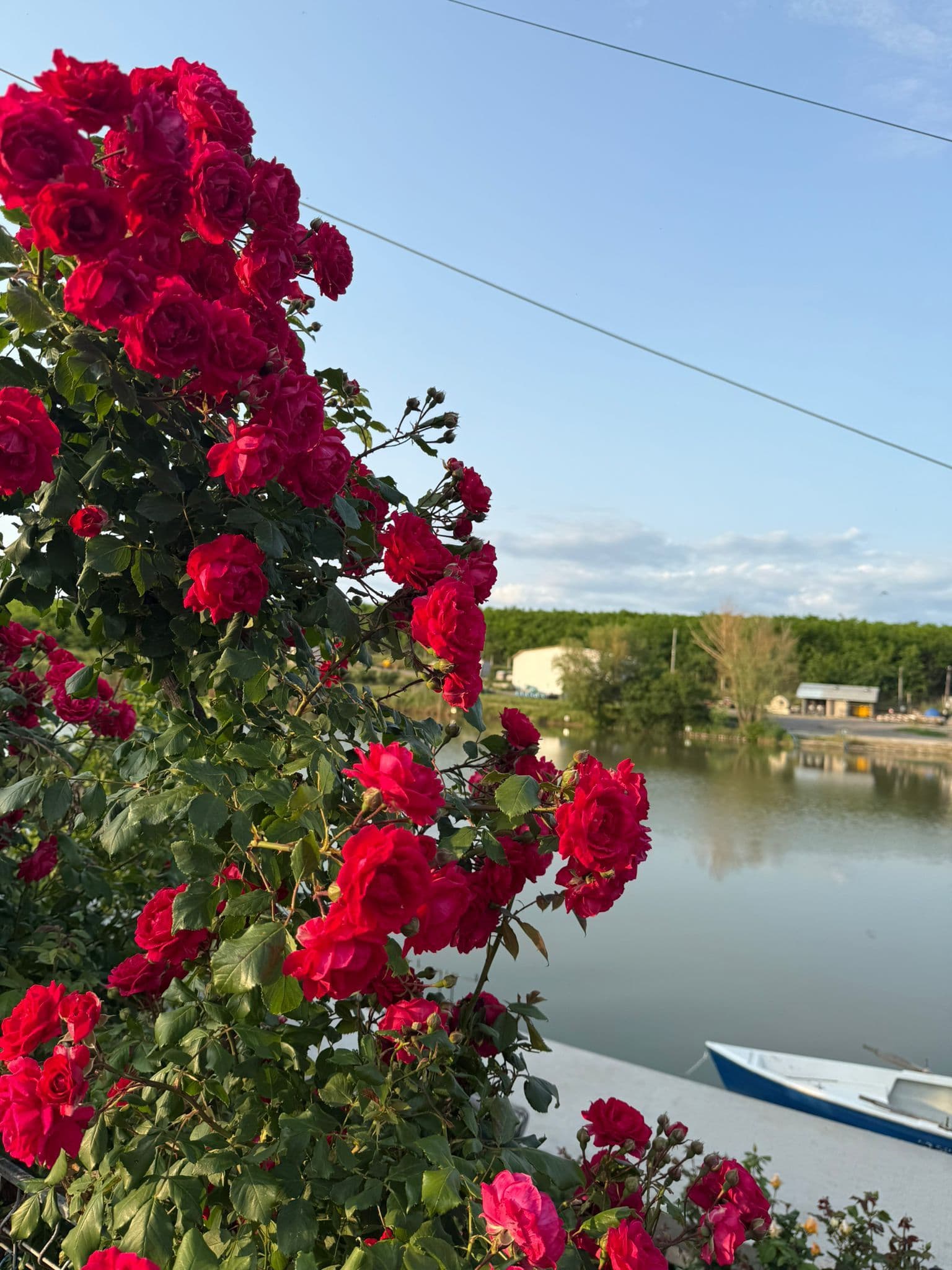 Ferma DAC, Galati — fotografia 3