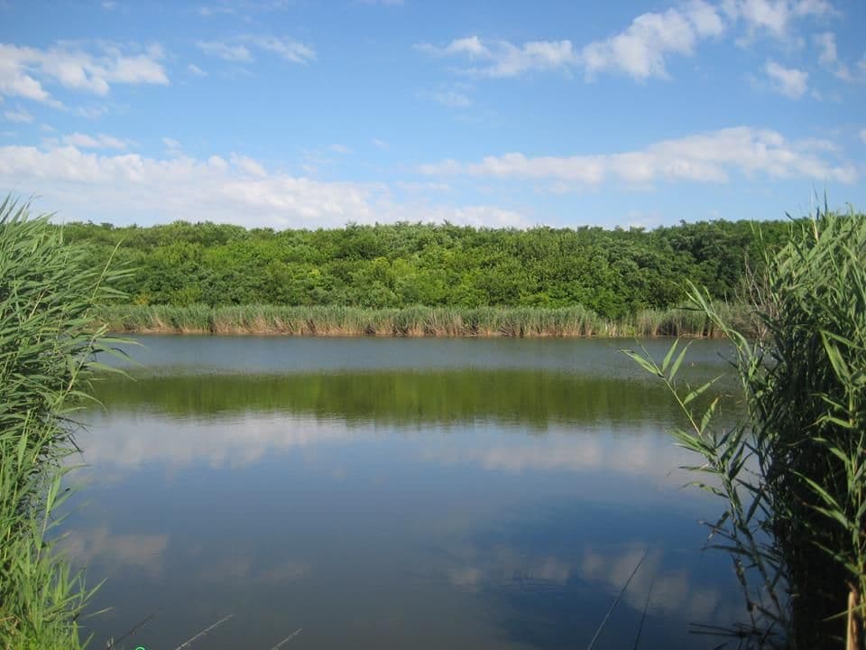 Mariuta 4, Calarasi — fotografia 3