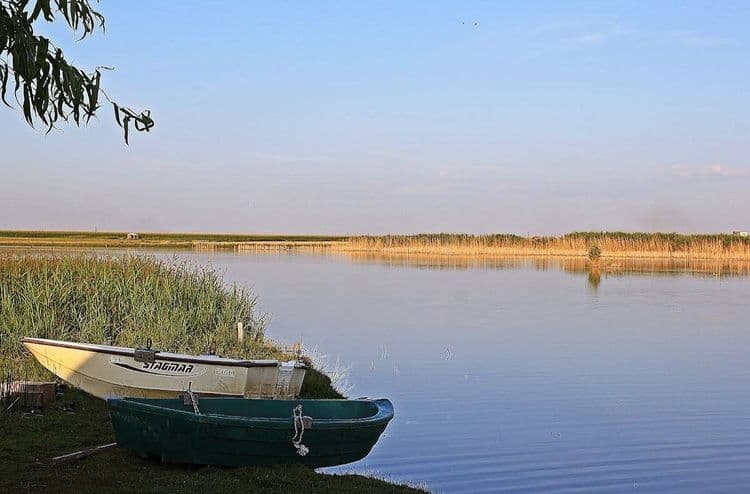 Nicula Carp Lake — fotografia 1