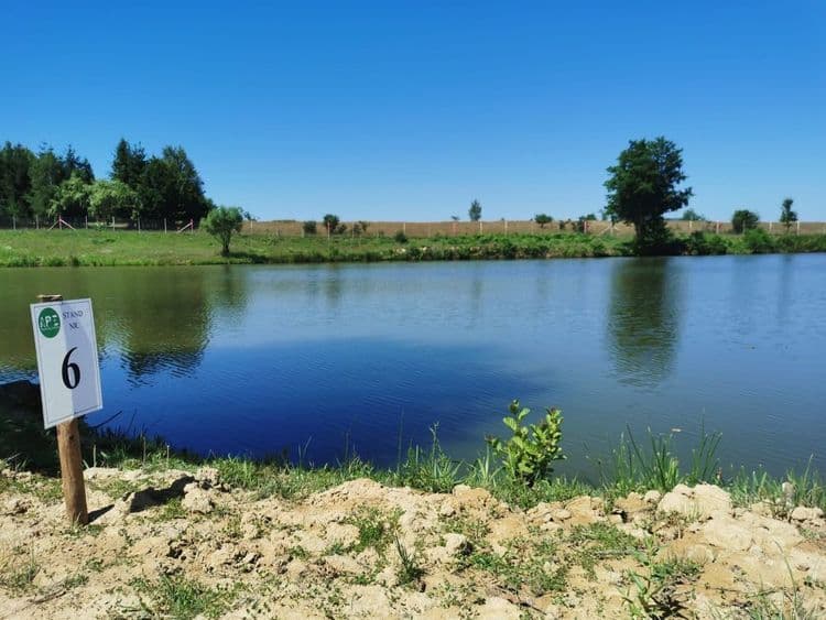 Lacul Tuli — fotografia 1
