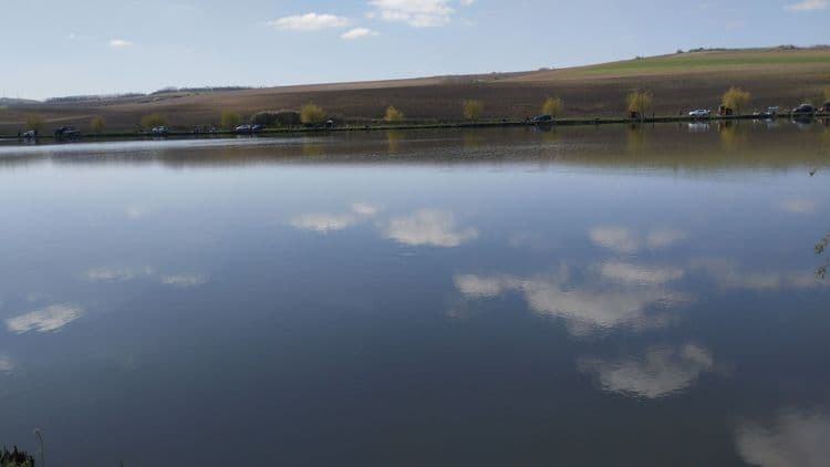 Carpodrom Transilvania — fotografia 1