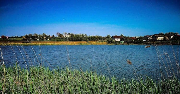 Balta Sinesti 2 — fotografia 1