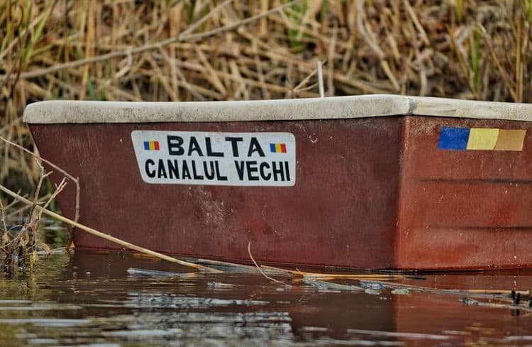 Balta Canalul Vechi Medgidia — fotografia 1