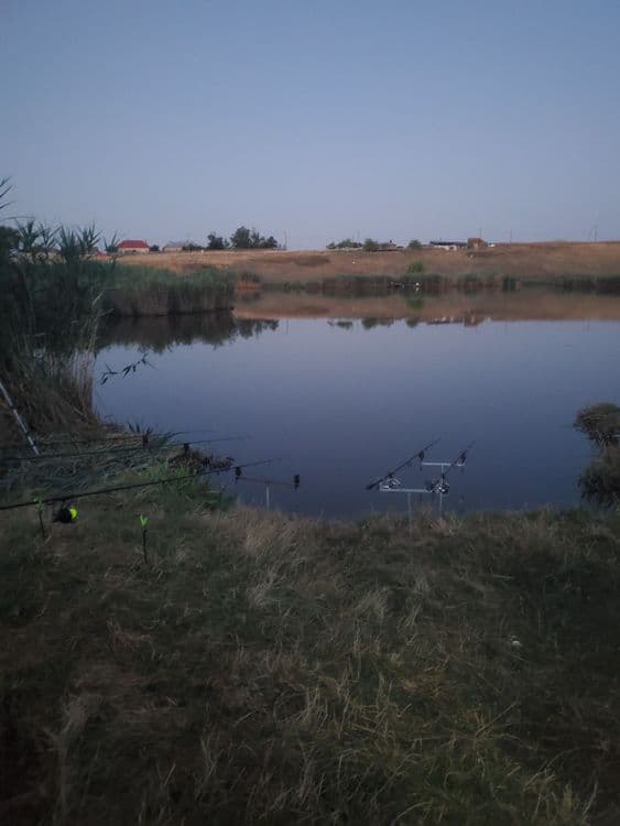 Balta Alesteu — fotografia 4