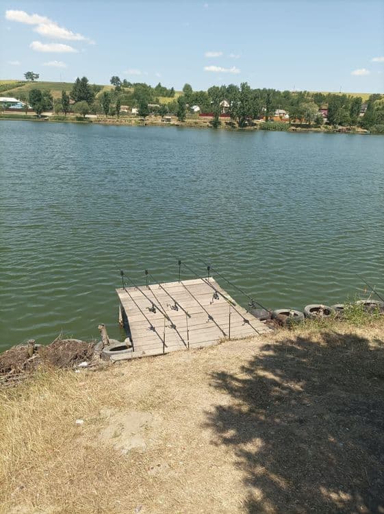 Iazul Dumesti Iasi — fotografia 1