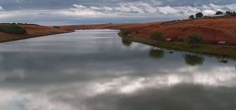 Lupsanu 3 — fotografia 3