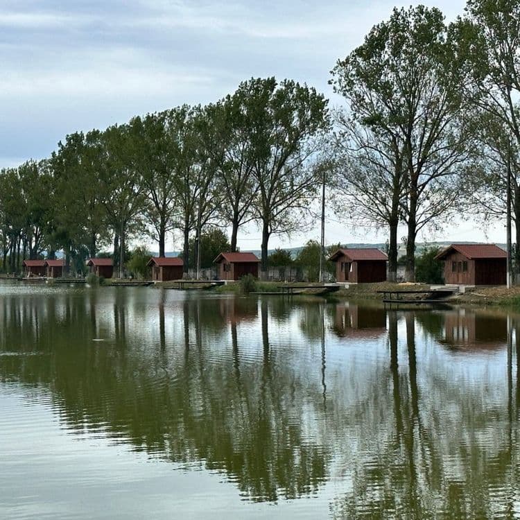 Lacul Pleasa — fotografia 3