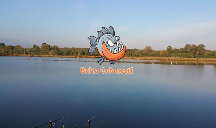 Balta Colonesti — fotografia 1