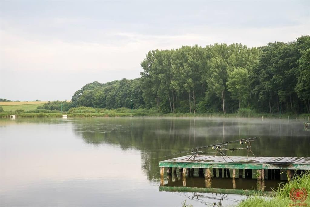 Moara Vlasiei 2, Ilfov — fotografia 1