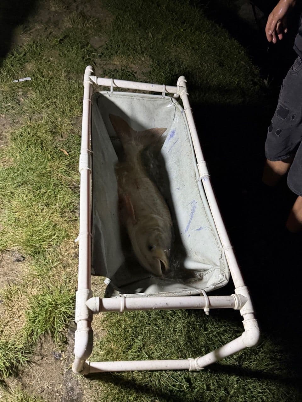Amur · 9,5 kg · 21:14