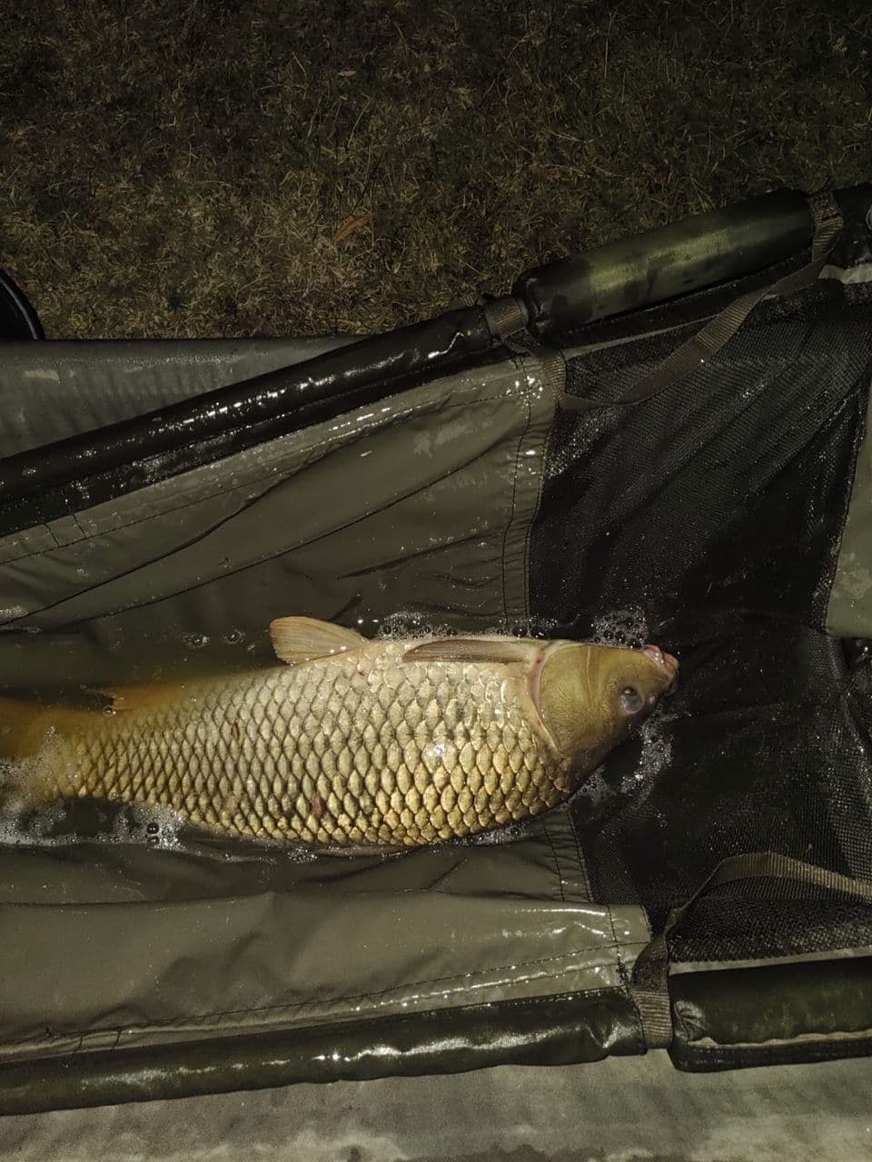 Crap · 3,0 kg · 23:40