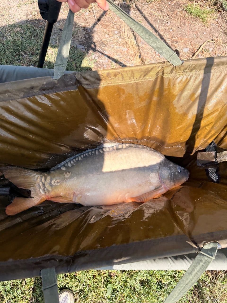 Crap Oglinda · 9,0 kg · 13:09