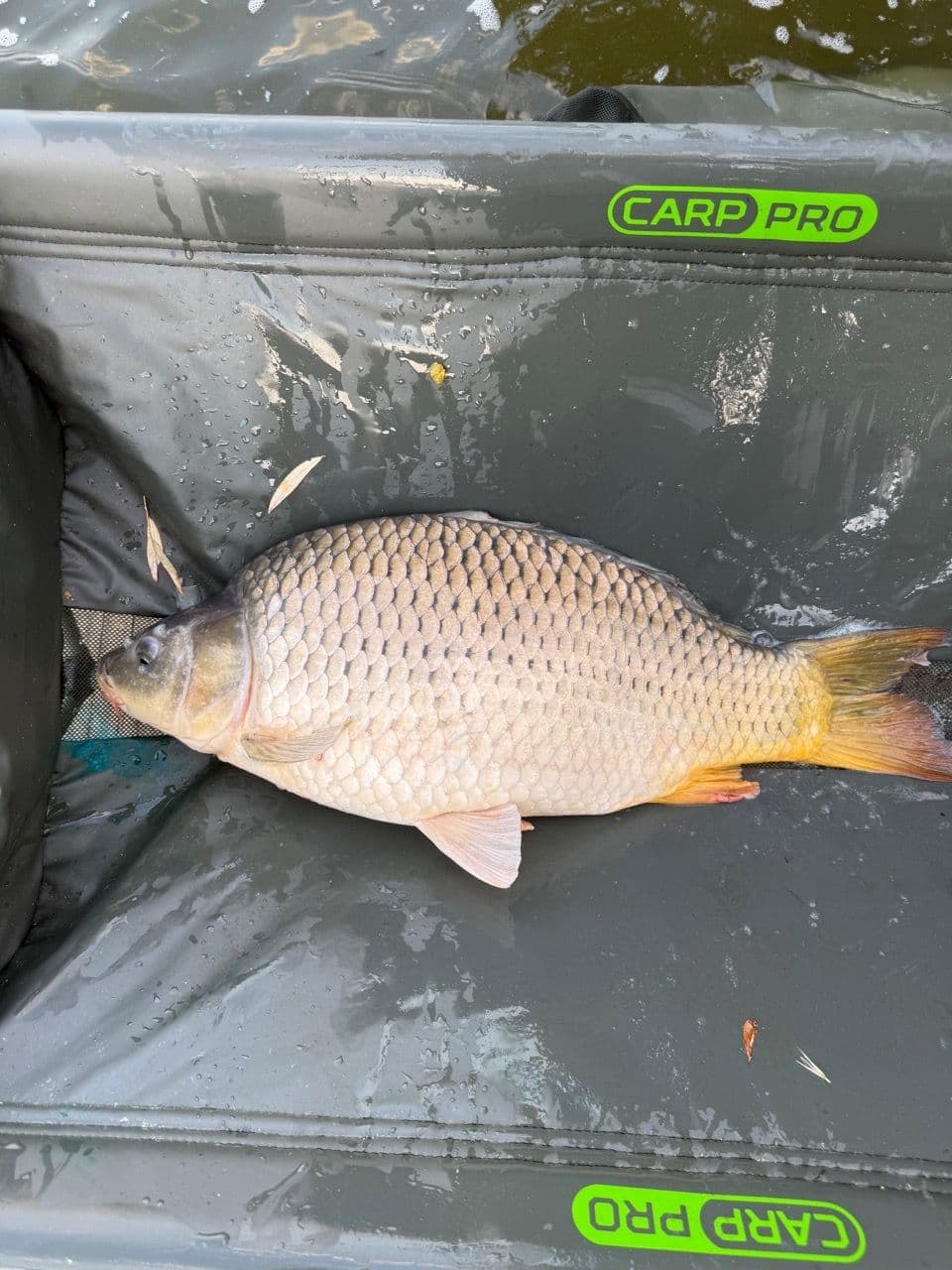 Crap · 7,0 kg · 21:50