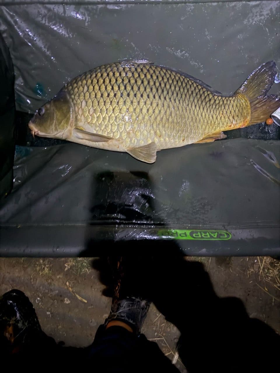 Crap · 9,34 kg · 05:52