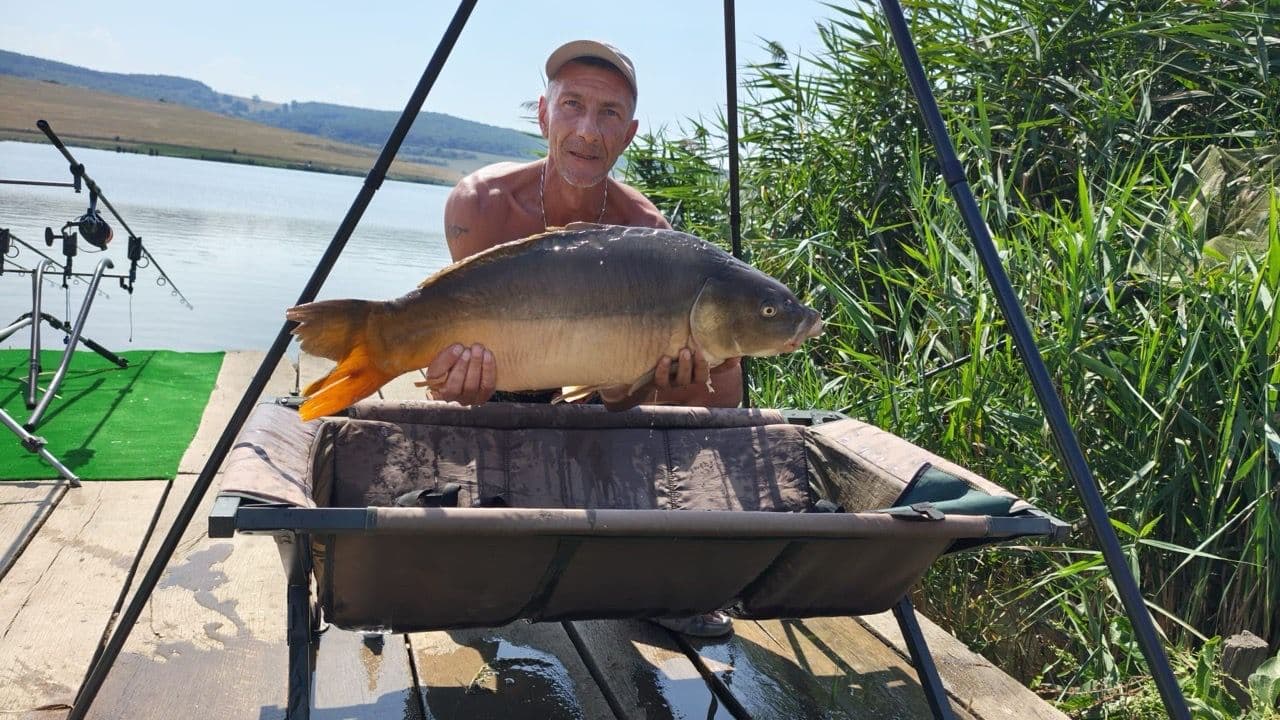 Salonta · 12,1 kg · 13:49