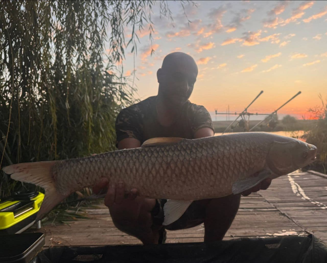 Cteno · 6,2 kg · 08:27