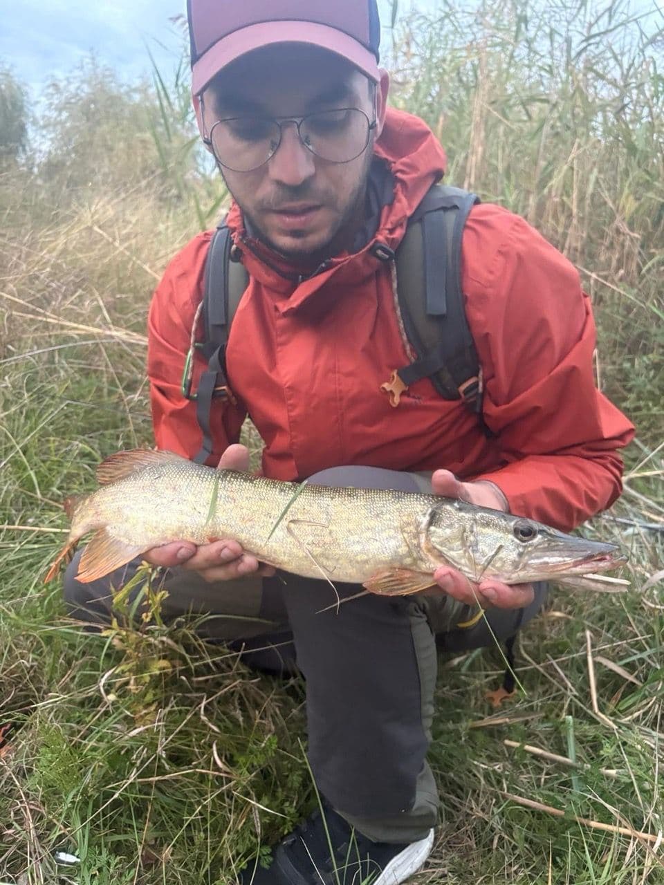 Stiuca · 1,5 kg · 18:30