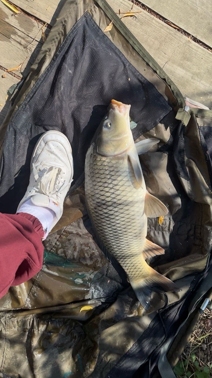 Crap · 6,0 kg · 13:56