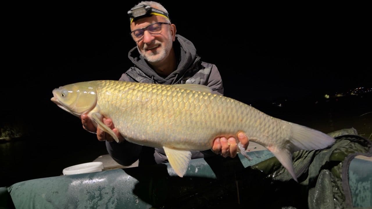 Cteno · 11,5 kg · 21:20