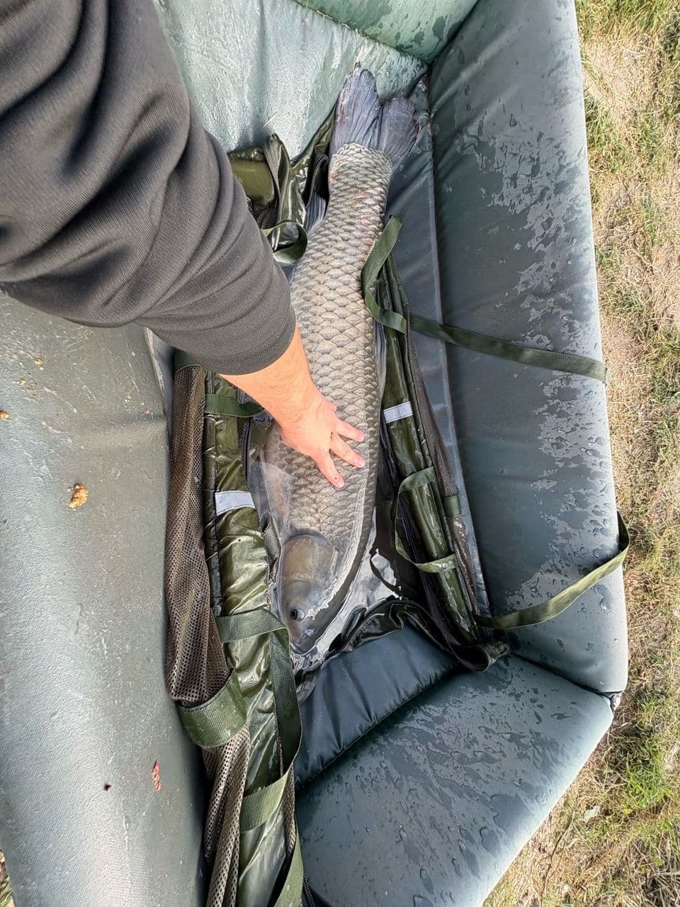 Cteno · 13,0 kg · 09:20