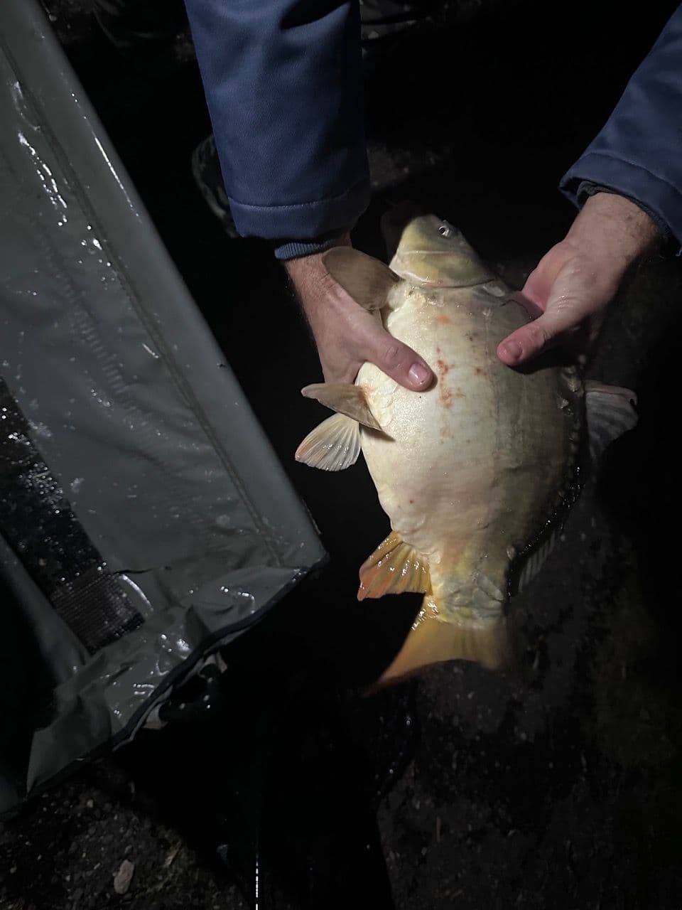 Crap Oglinda · 2,0 kg · 04:28