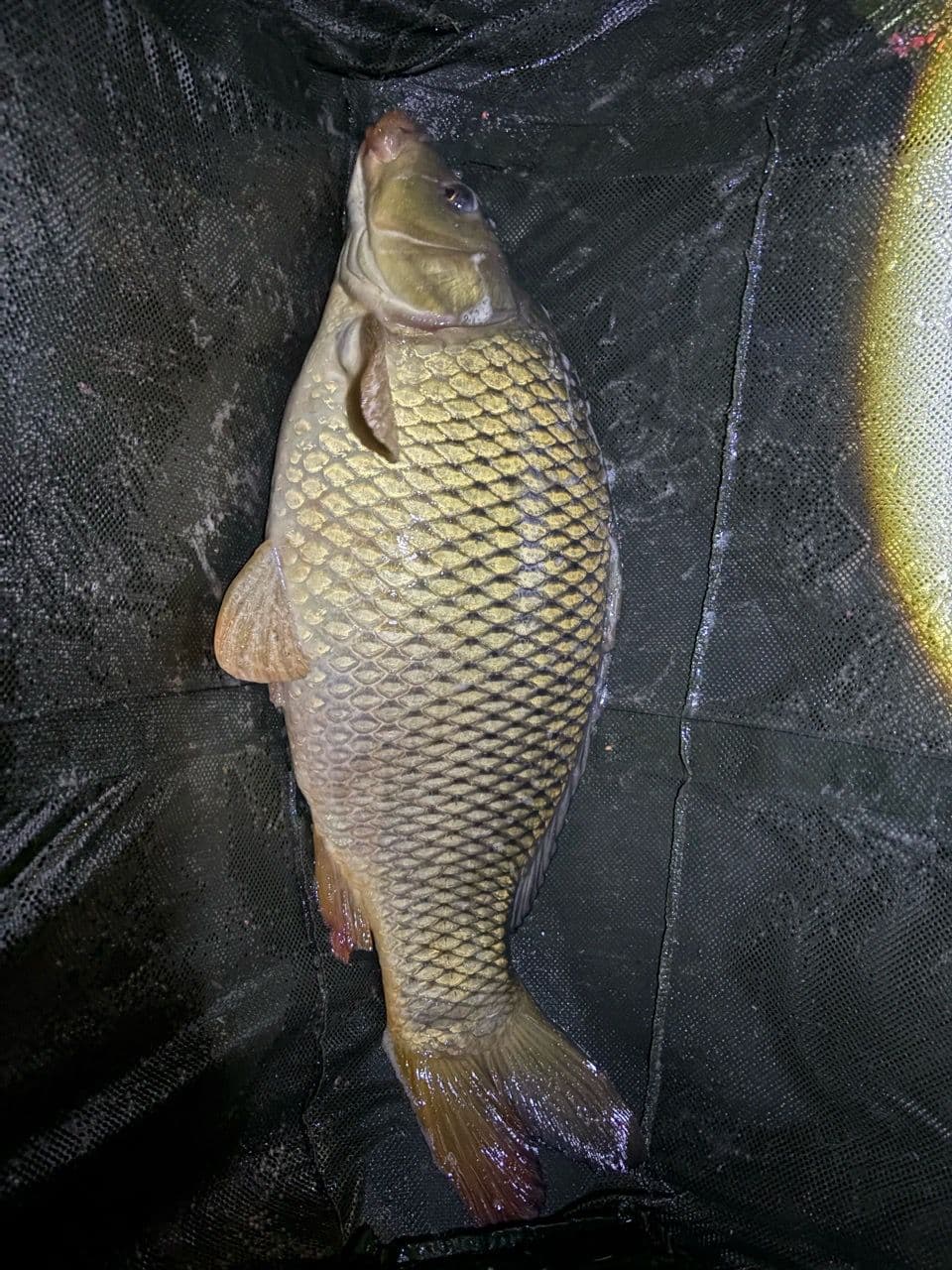 Crap · 6,72 kg · 00:25